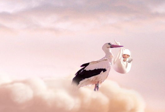 30년기한 출생신고서 열람하기 03