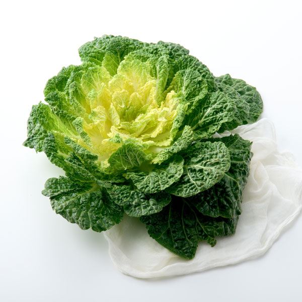 봄동겉절이 찰떡 궁합 양념 비법! 맛있게 무치는 방법