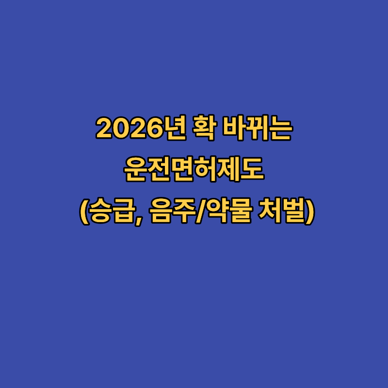 2026년 확 바뀌는 운전면허 제도