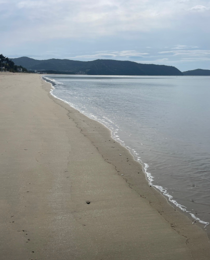 신지명사십리 해수욕장