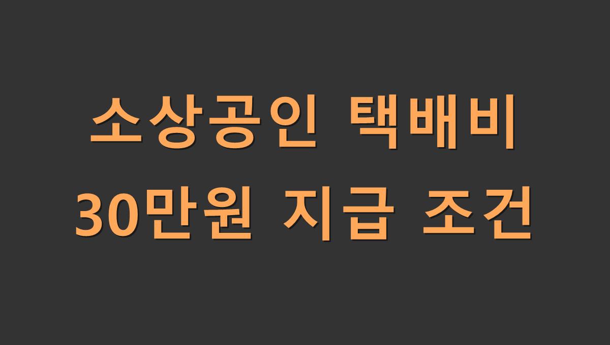 소상공인 택배비 30만원 지급 조건