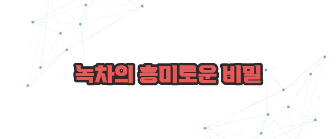 녹차 효능 이보다 자세히 설명할순없다