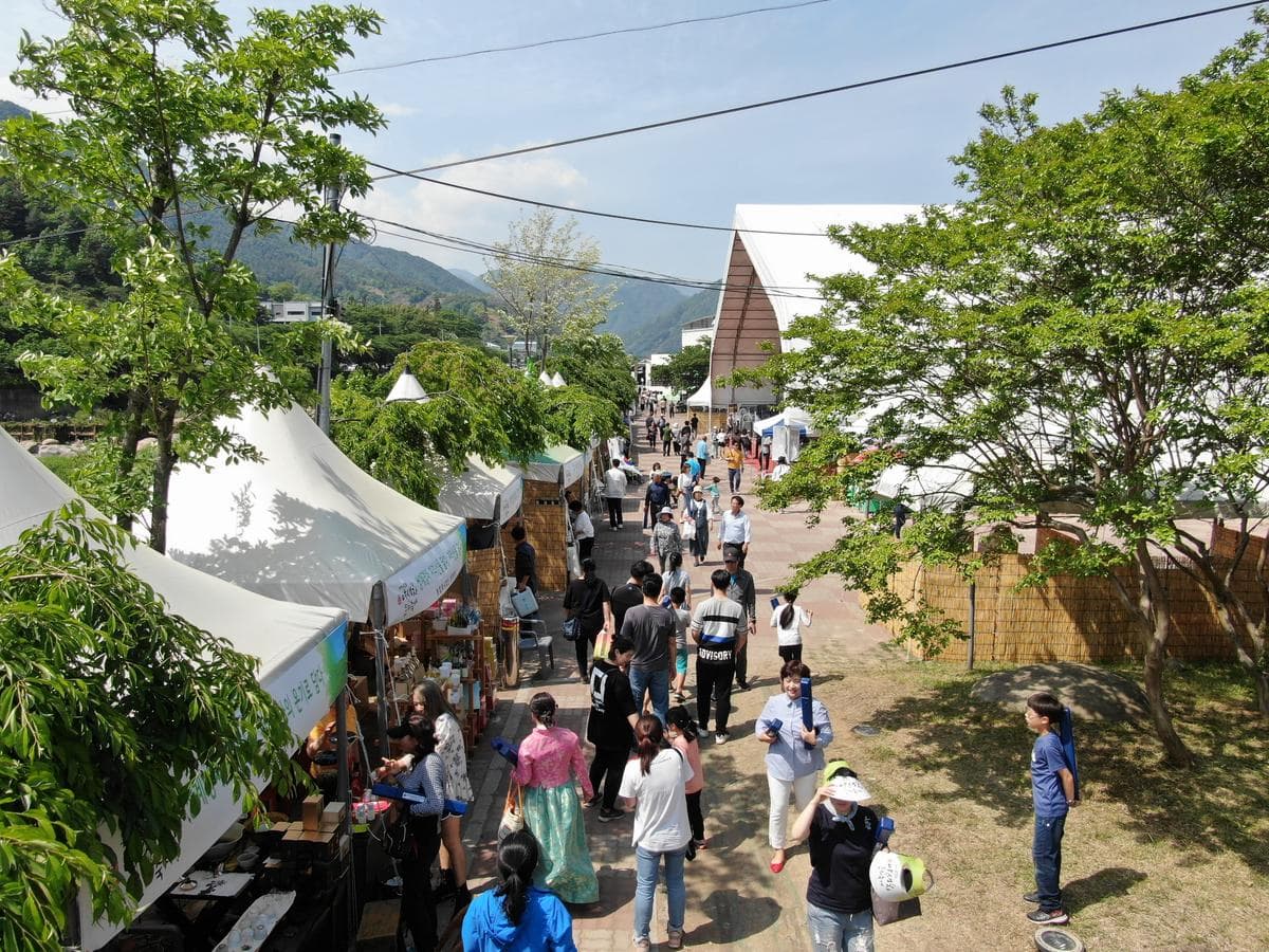 [5월 축제]2025 하동야생차문화축제❘기간, 일정, 체험 프로그램, 공연 정리