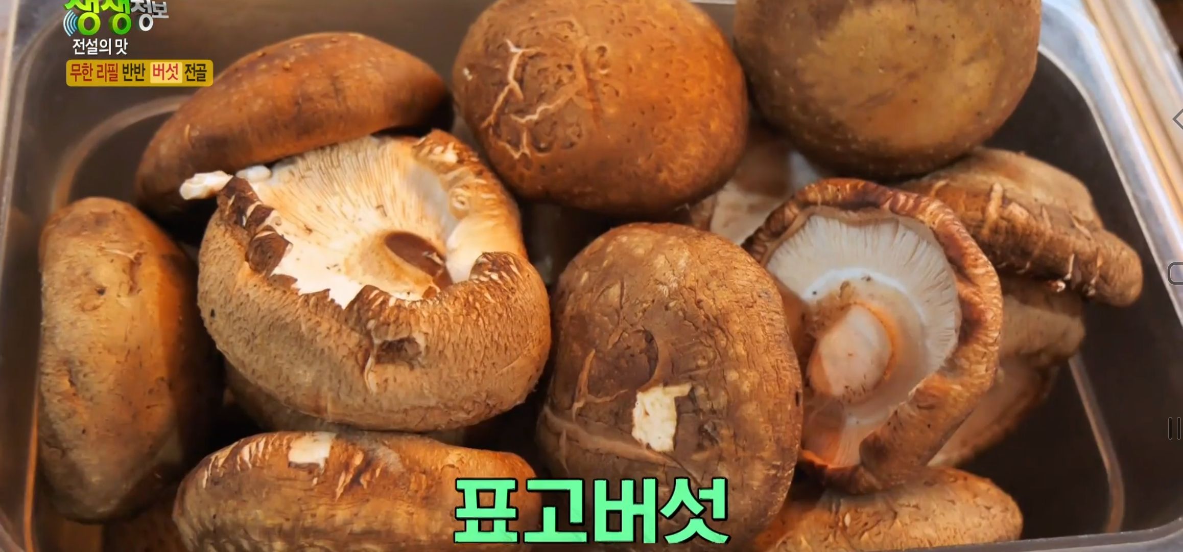 표고버섯