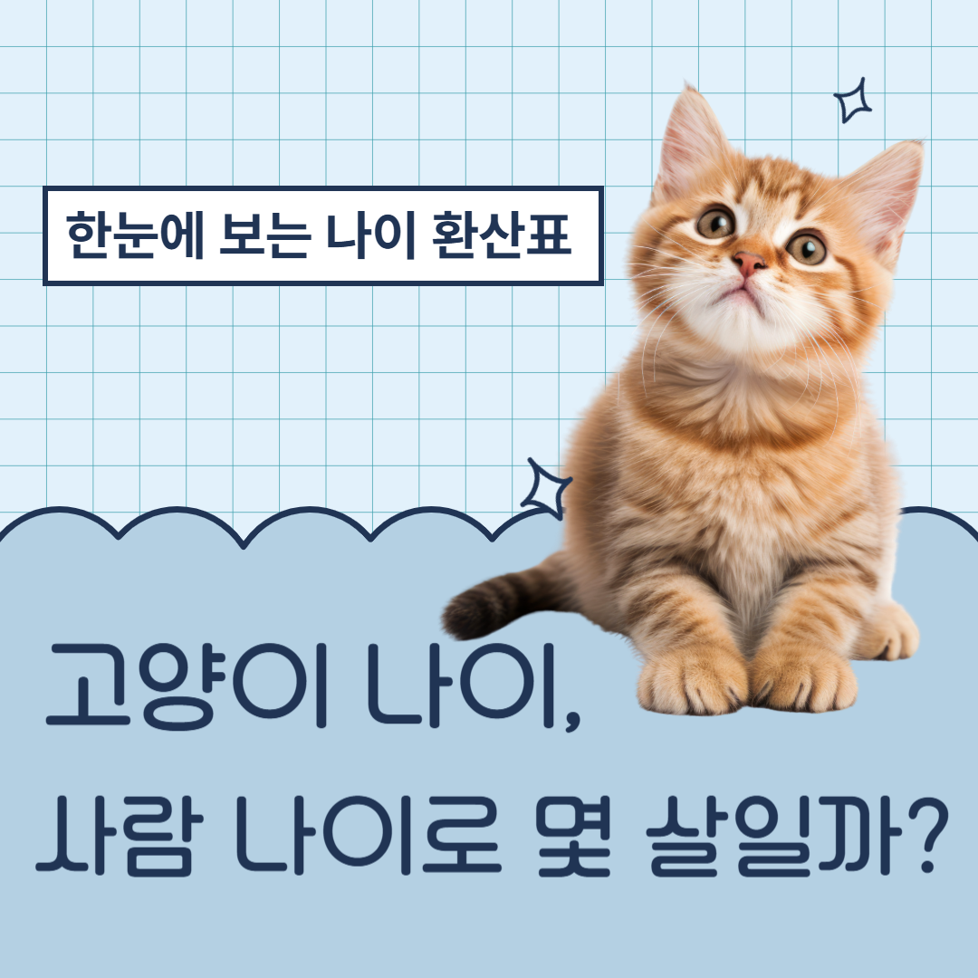고양이 나이 사람나이로 몇 살?