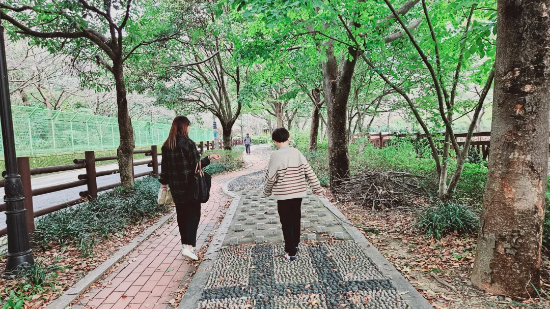 진해 여좌천
