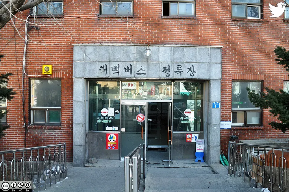 태백 고한 도계 시외버스 터미널 시간표 예매 요금_4