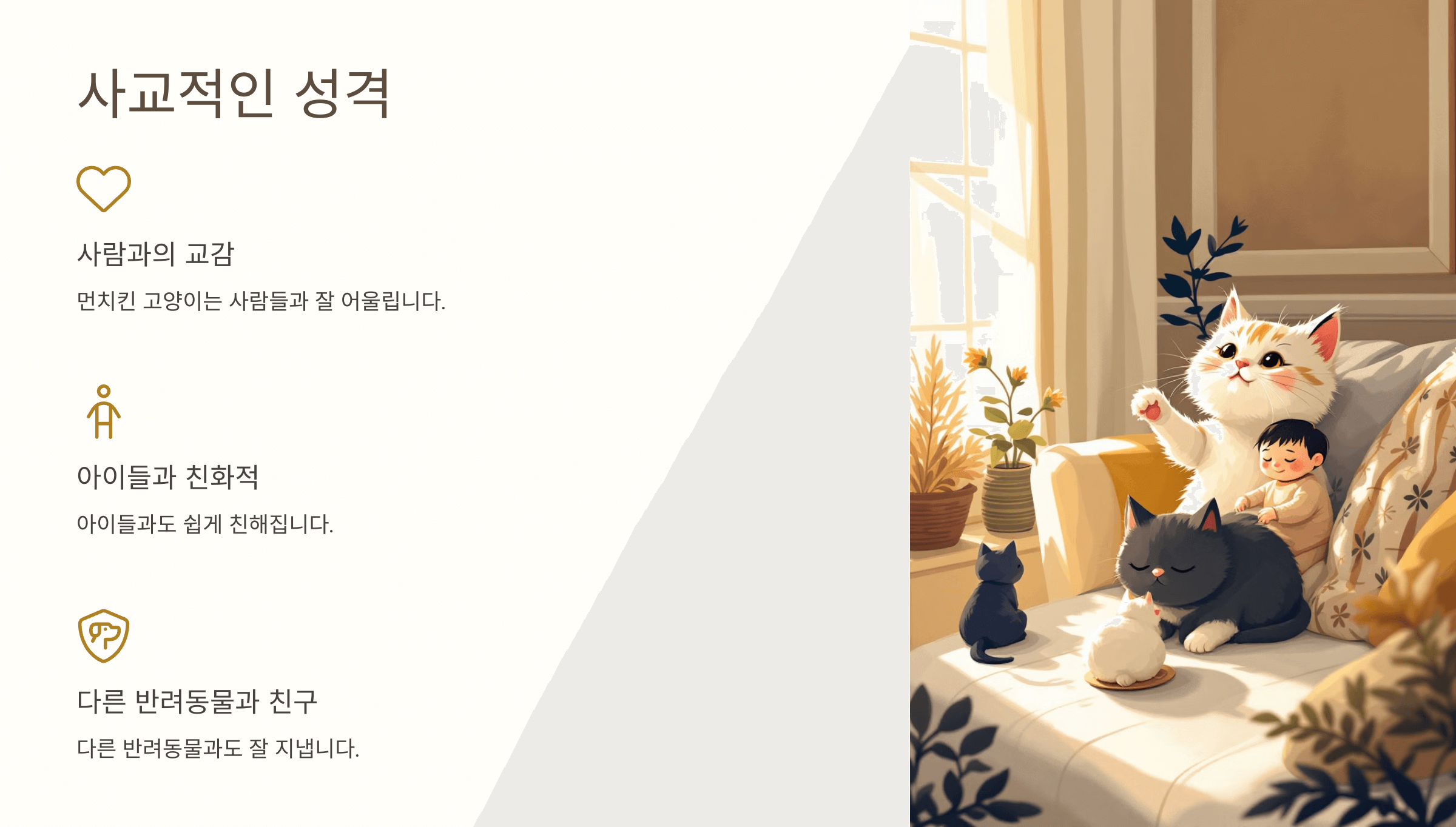 먼치킨 고양이 사진입니다.