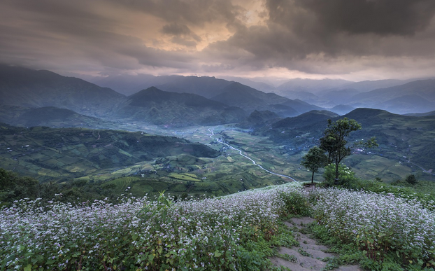 예천 회룡포의 메밀묵집, 어머니의 손맛이 사라진다