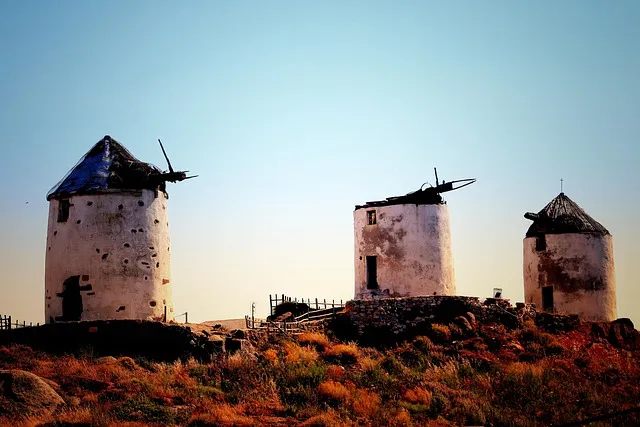 짜장소스 만들기 황금레시피_8