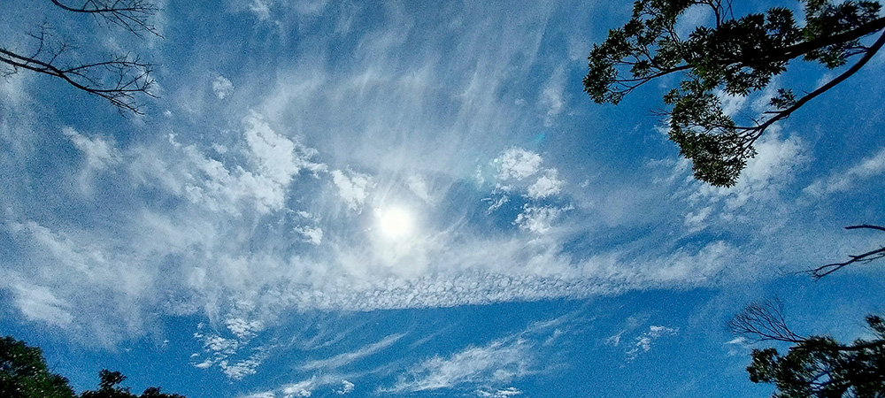 김정문화로에서 대청로사이 파란하늘 흰구름