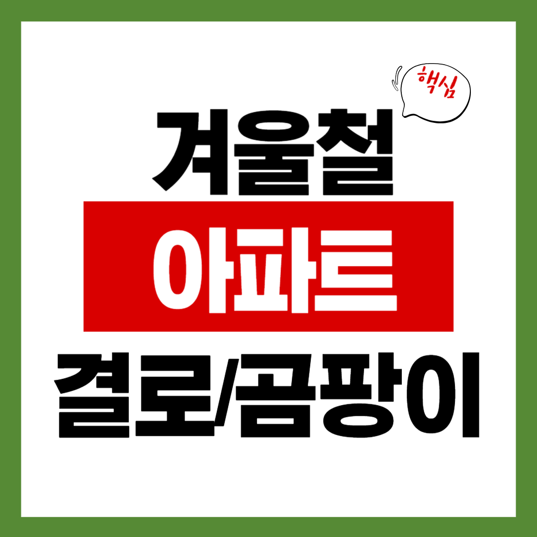 겨울 아파트 결로&middot;곰팡이 예방하는 7가지 실전 팁