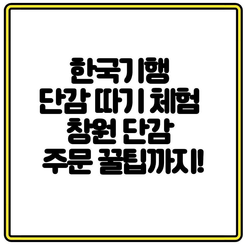 한국기행 단감 따기 체험 창원 단감 주문 꿀팁까지!