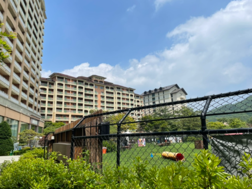 강아지 동반 여행지 추천