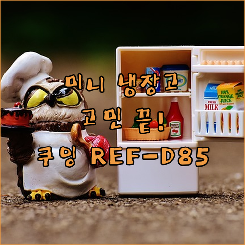 미니 냉장고 고민? 쿠잉 REF-D8