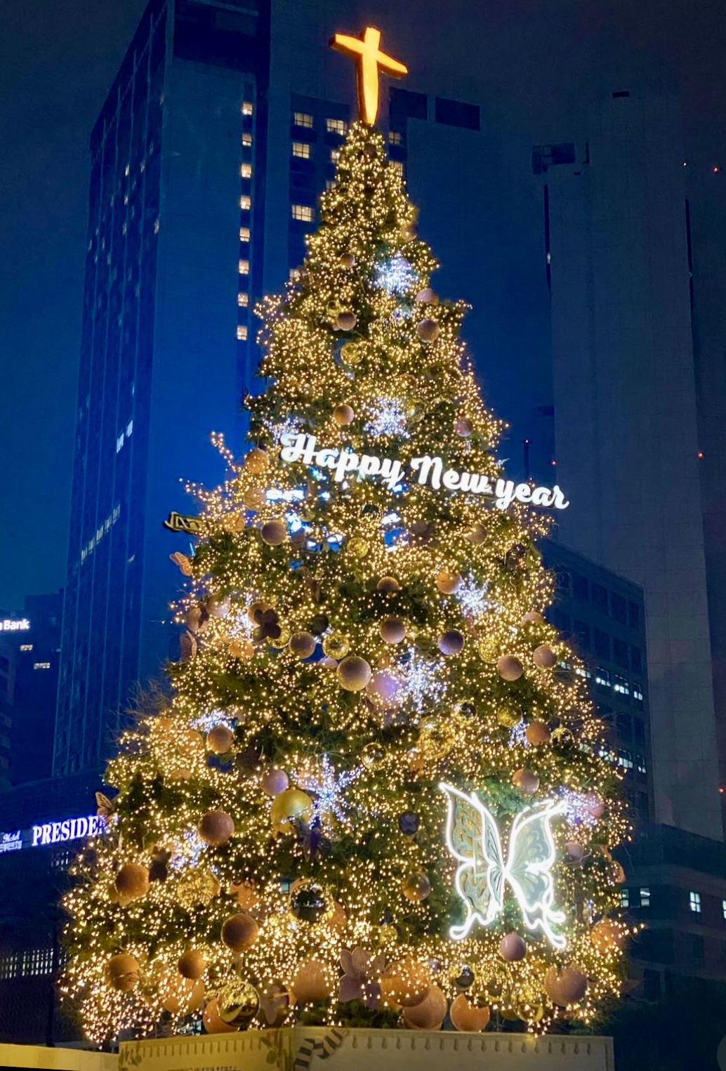 서울시청 크리스마스트리1