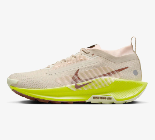 나이키 페가수스 트레일 5 고어텍스