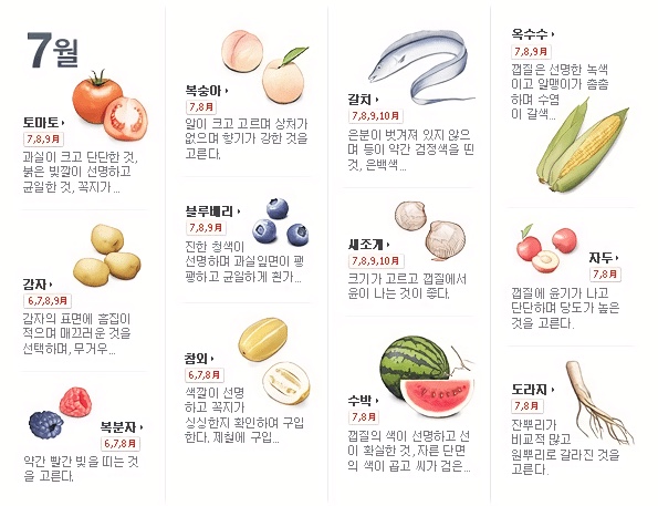 7월 제철음식