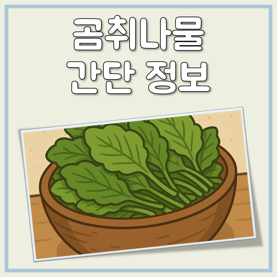 곰취 재배법, 곰취나물 먹는법 무침 쌈 정리