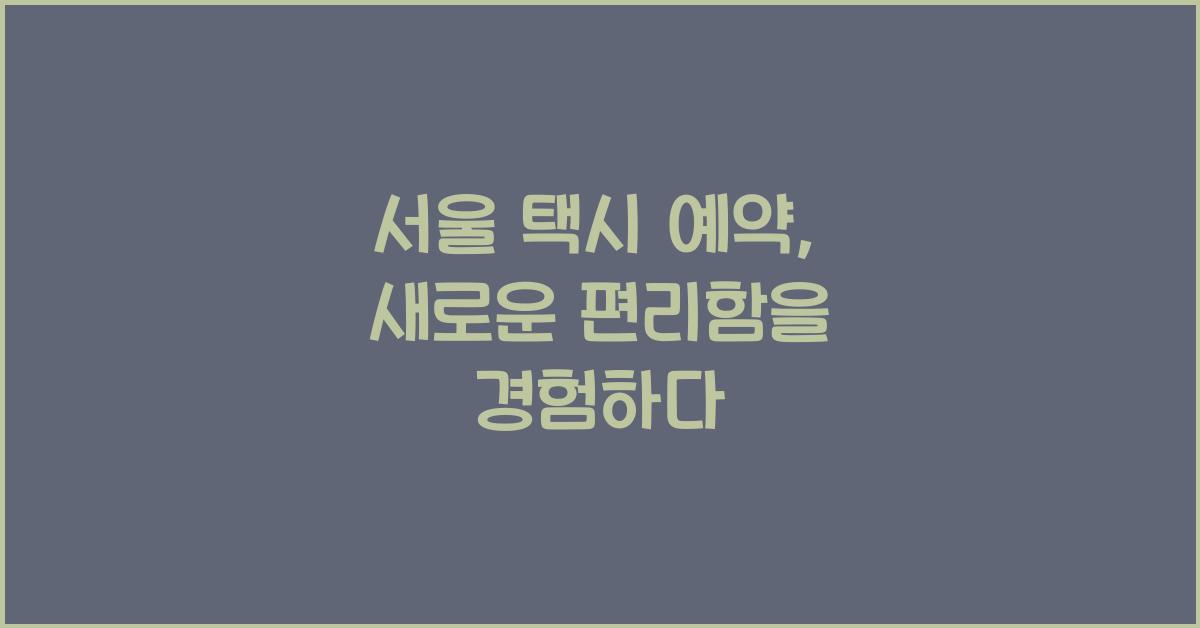 서울 택시 예약