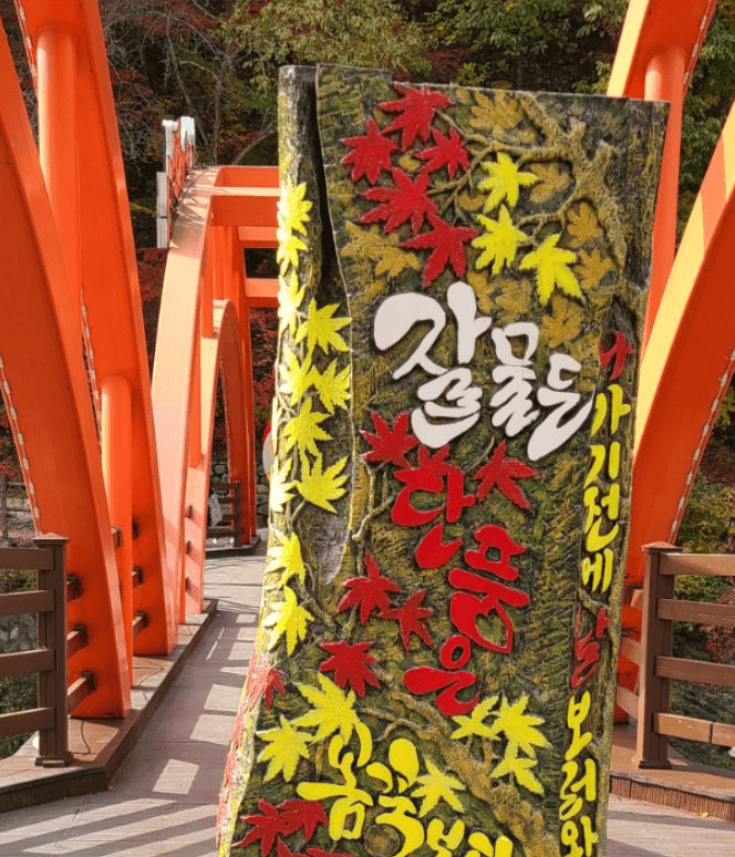 태백시 철암 단풍군락지