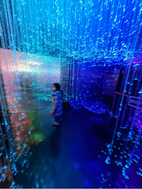 제주도 아이와 가볼만한곳 ( 노형슈퍼마켙 )