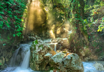 국립자연휴양림-예약방법-성수기