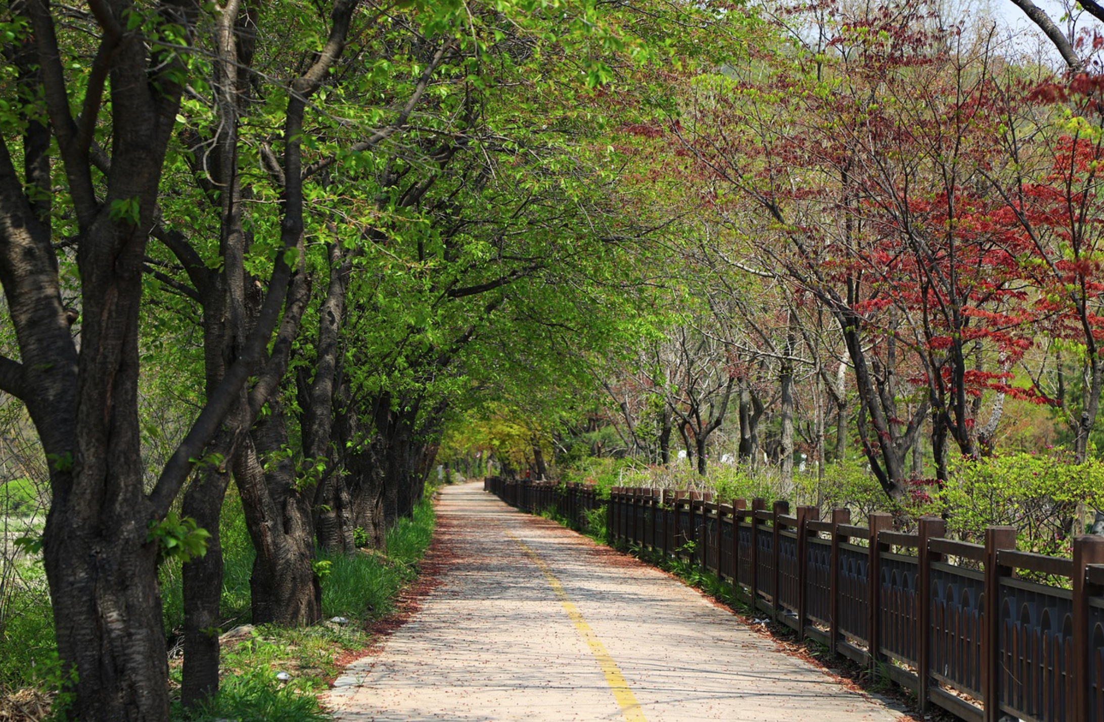 군산 신역세권 한라비발디 센트로