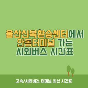 울산신복환승센터에서 안동터미널 가는 시외버스 시간표 최신정보