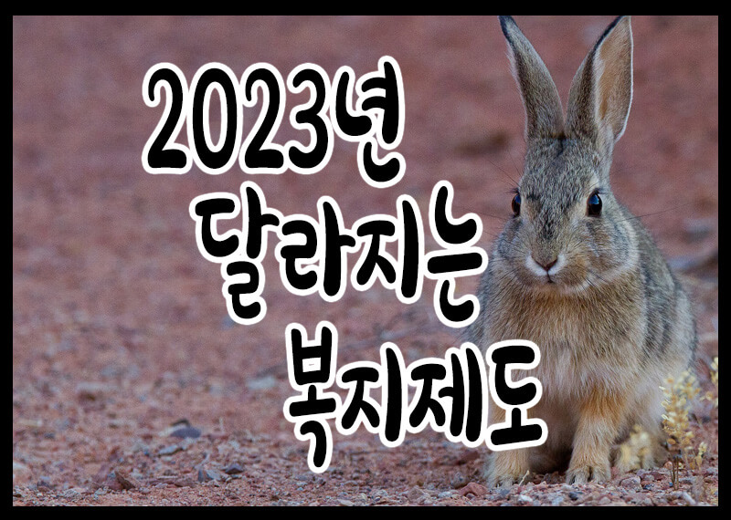 2023년 달라지는 복지제도
