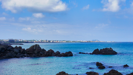 제주-렌터카-추천