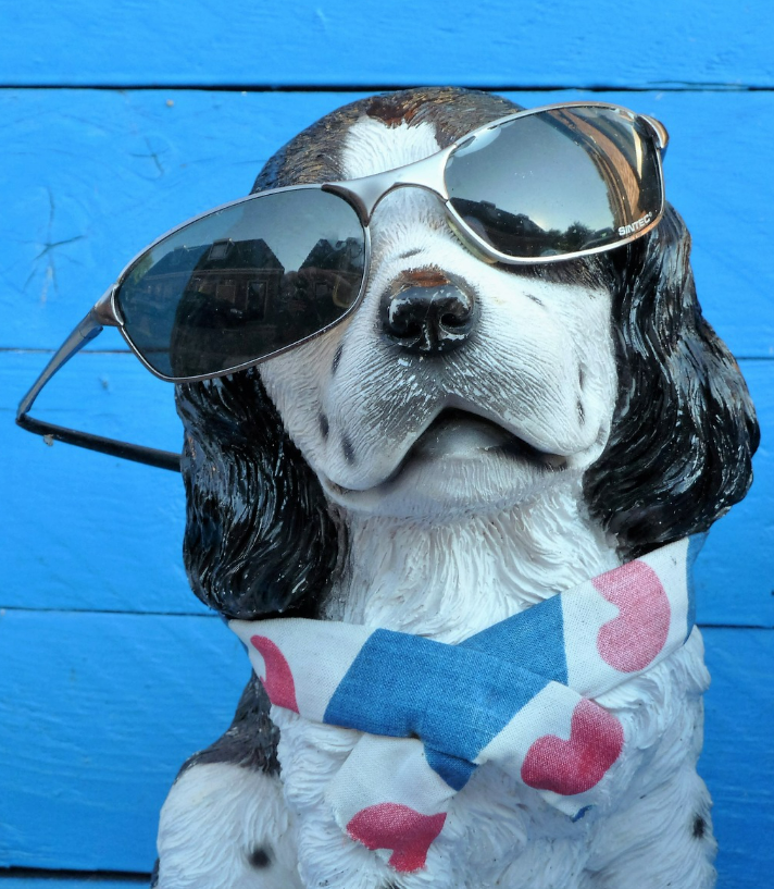 얼굴형에 맞는 안경 관련 이미지