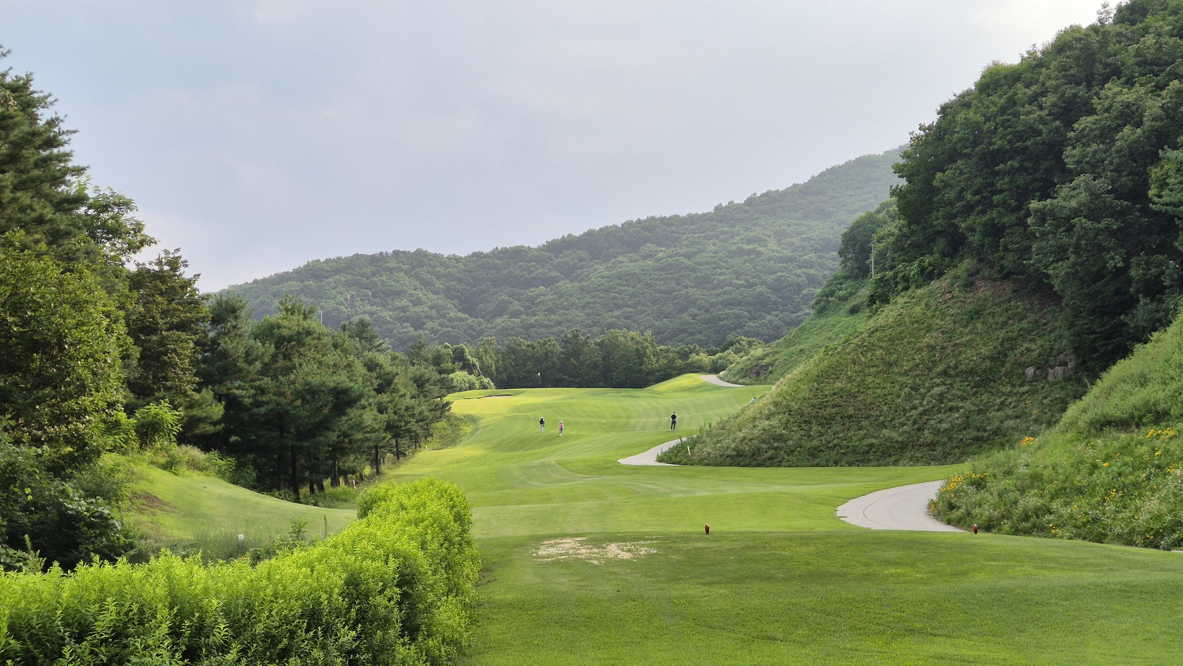 참밸리cc 밸리-퀸즈 코스 사진 및 공략 정보
