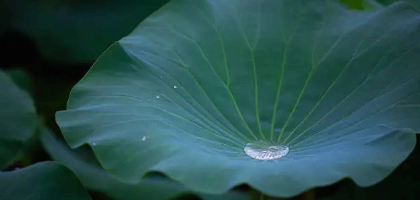[디지털 리셋 루틴 시리즈 ②] 집중력을 깨우는 아침 30분 루틴 &ndash; 하루를 내가 주도하는 시작