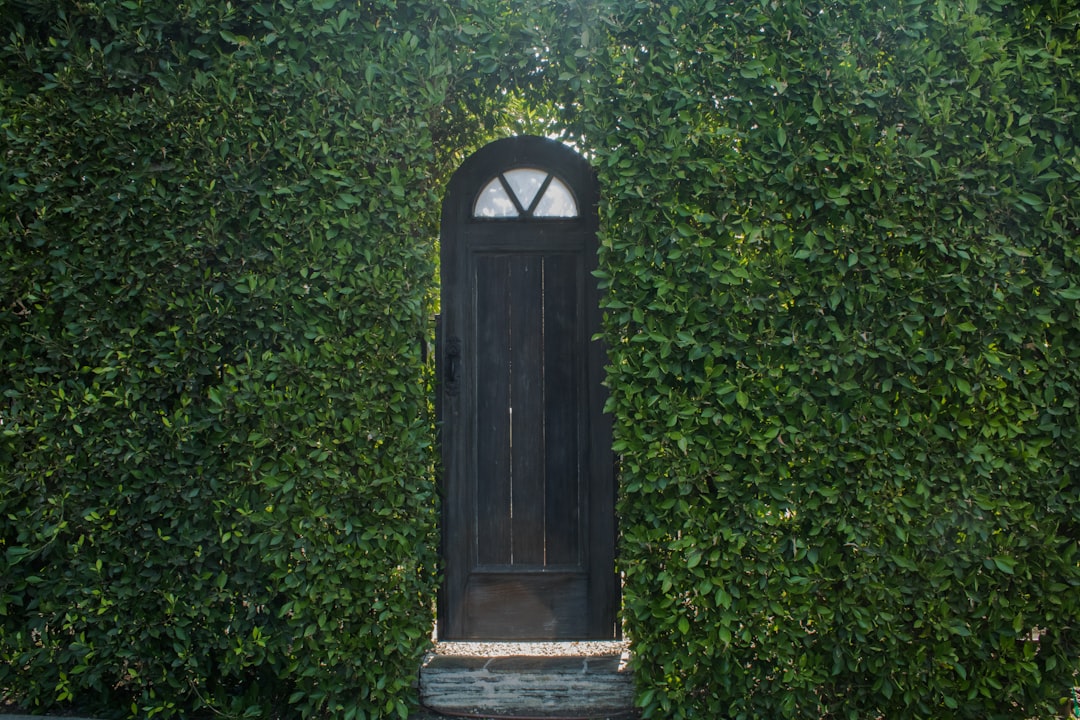 Portal