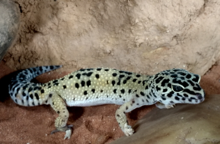 부천 자연생태공원