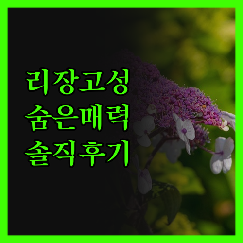 리장 고성, Jiuqi Fuxiang