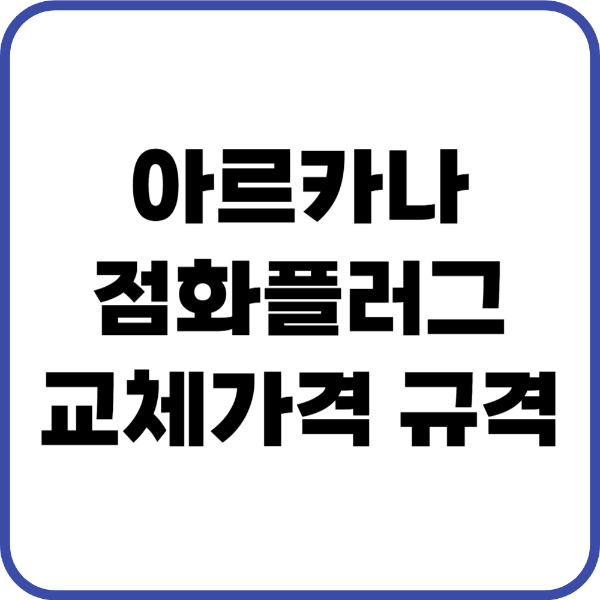 아르카나 점화플러그