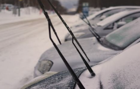 눈이 내리기 전 관리법