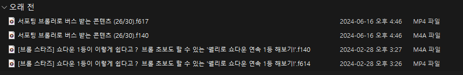 유튜브 좋아요 누른 영상을 한번에 다운로드 받는 방법 캡처 7