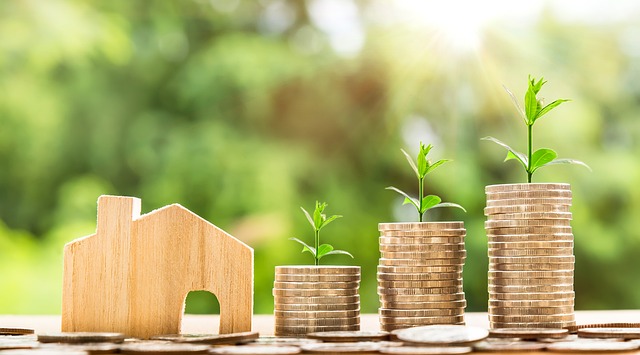 2024년 9월 공모주 청약 일정 보기