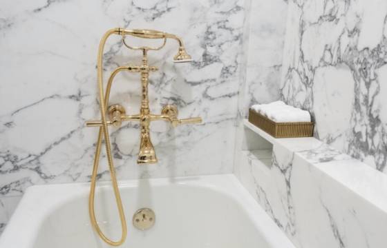 트럼프, 백악관 욕실 리모델링 유광대리석 황금빛 휴지까지 기간 비용