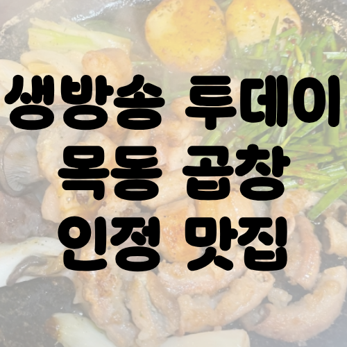 생방송 투데이 목동 곱창 인정 맛집