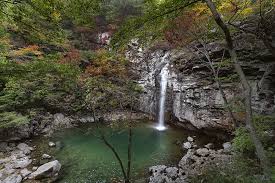 여름에 걷기 좋은 숲길 10