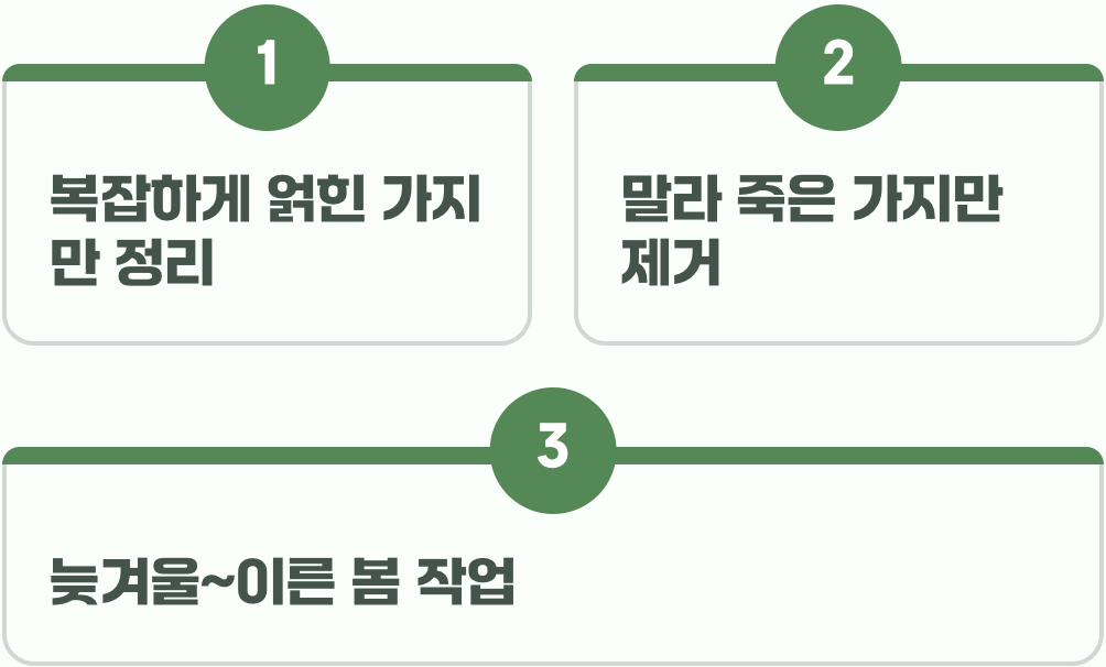 비결 3. 그대로의 멋&amp;#44; &amp;#39;자연스러운 수형&amp;#39;