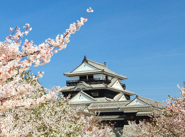 마쓰야마 천수각 사진