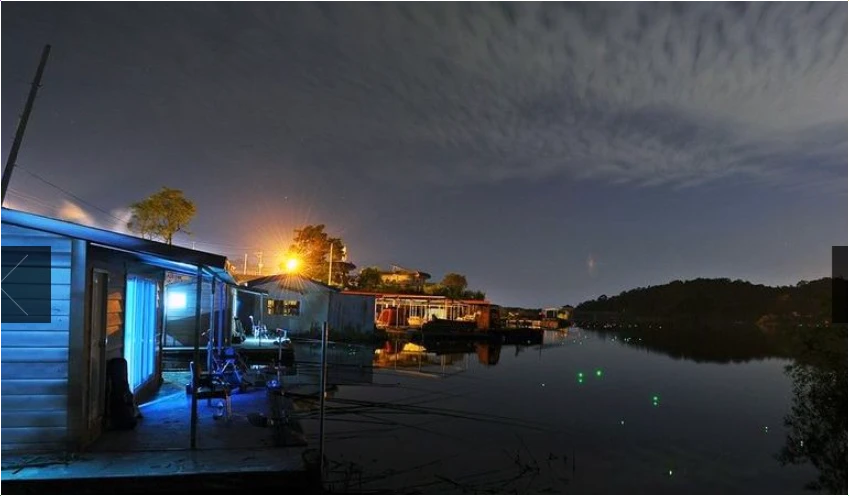 강화양오빙어축제