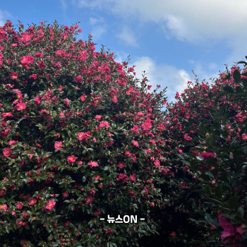 제주도 12월 가볼만한곳 10곳