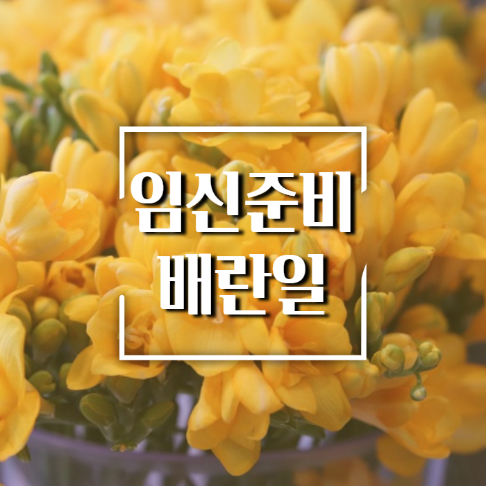 배란일-계산-방법-소개