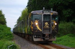 탄소세 기반 교통모델링(Carbon Tax-based Transport Modeling)